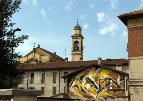 Storie in fiore