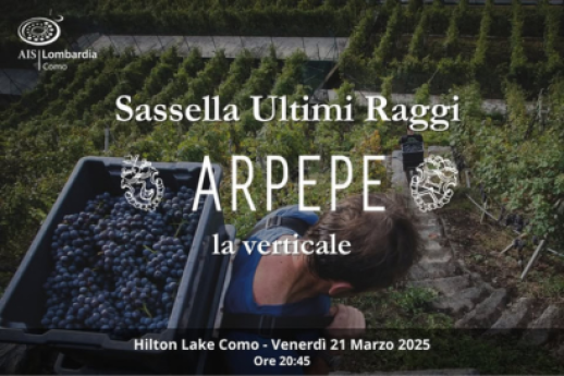 Sassella ultimi raggi di Arpepe: la verticale