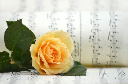 7 Note per un Sorriso - Concerto di Beneficenza