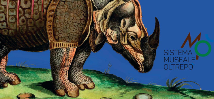 Animali misteriosi tra scienza e leggenda