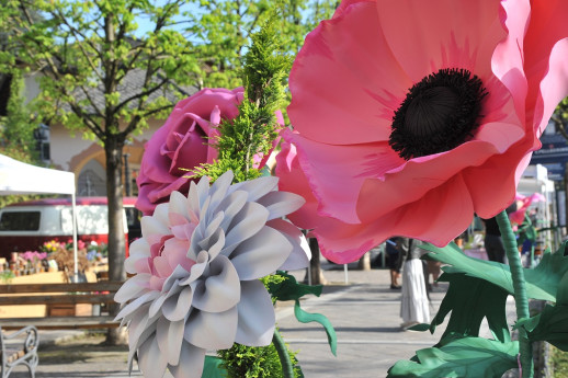 Flora & Arte: San Pellegrino Terme tra petali e liberty