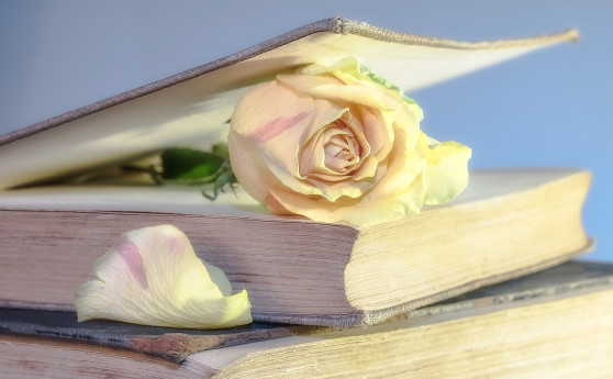 Presentazione del libro "Io che ti ho voluto così bene" - Mi Libro 2025
