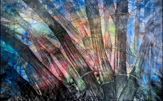 Mostra Seung Lee
