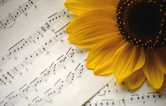 Concerto "La libertà costa cara molto"