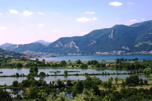 Visita Guidata "Le Piante Spontanee Commestibili" - Primavera in Torbiera 2025
