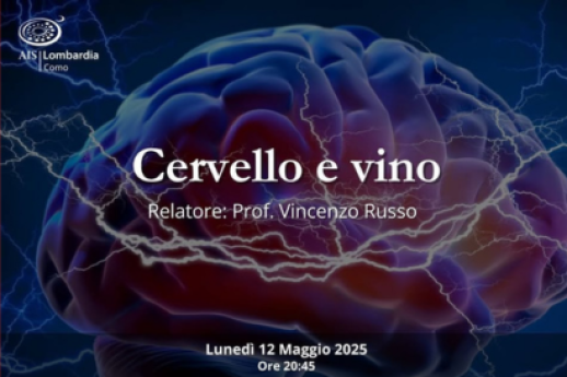 Cervello e vino