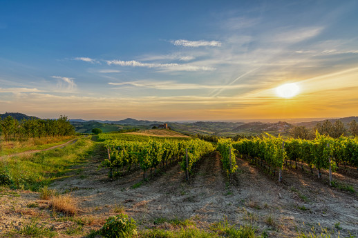 La serale Buttafuoco gravel