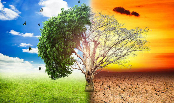 Cambiamenti climatici