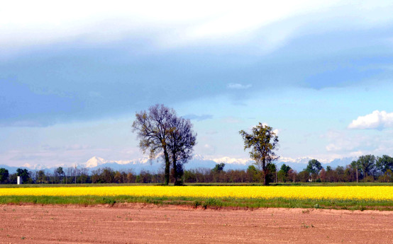 Trekking urbano ad Abbiategrasso