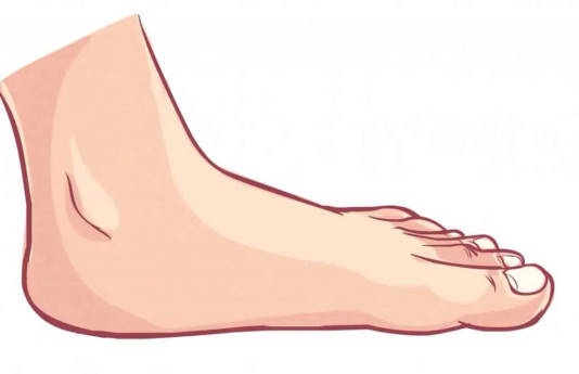 Piedi