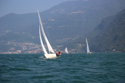 Regata Zonale