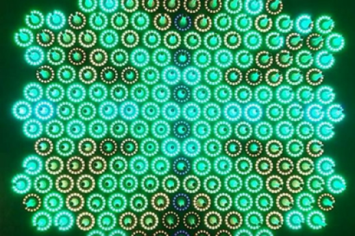La fisica della vita: una breve storia della biologia quantistica