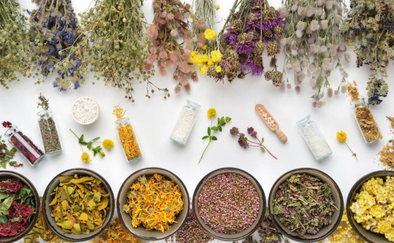 Le erbe officinali Erbe officinali