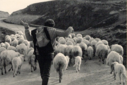 La Sardegna nell'anima