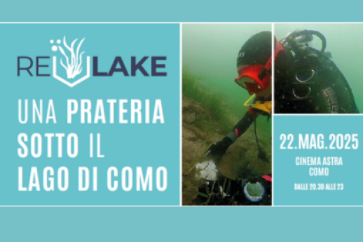Una prateria sotto il lago di Como