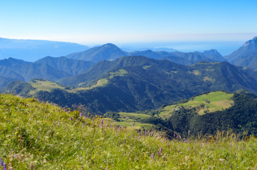 Passeggiata alla scoperta del monte Tombea 