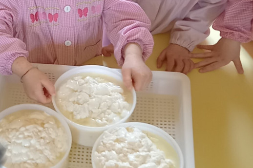 Facciamo il formaggio: laboratorio didattico per bambini Facciamo il formaggio: laboratorio didattico per bambini