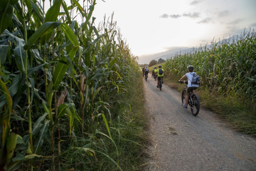 Tour in e -bike tra campi e sapori Tour in e -bike tra campi e sapori