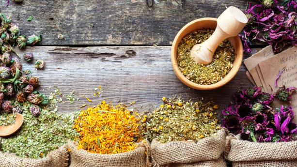 Le erbe officinali: preziose alleate del nostro benessere Conferenza