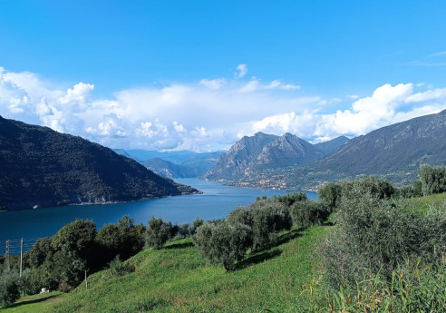Merenda nell'Oliveta a Sulzano