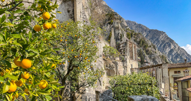 @inlombardia @inlombardia