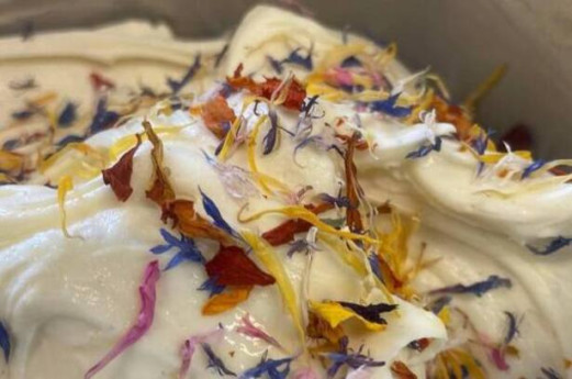 A Ispra, due passi con agrigelato