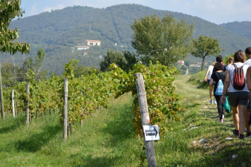 13ª Edizione "Magnalonga di Franciacorta"