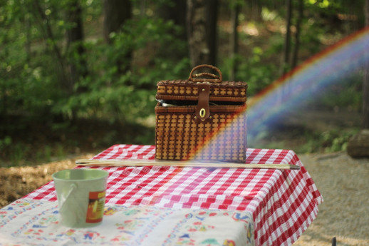Picnic sul Lago - "Sarnichella 2025"