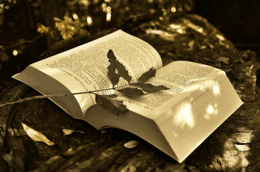 Lettura teatrale "La Montagna Dentro"