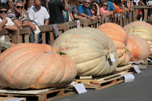 42a sfida nazionale della zucca