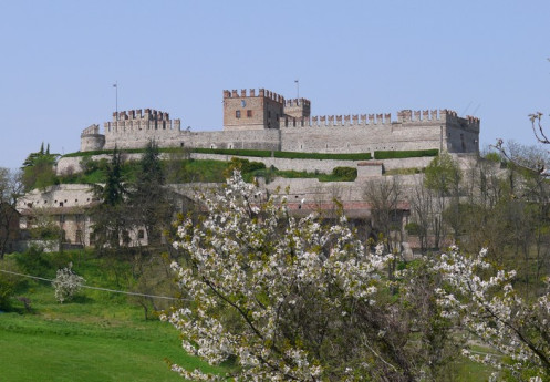 29esima fiera di San Damiano