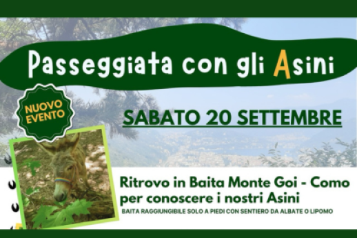 Passegiata con gli Asini!