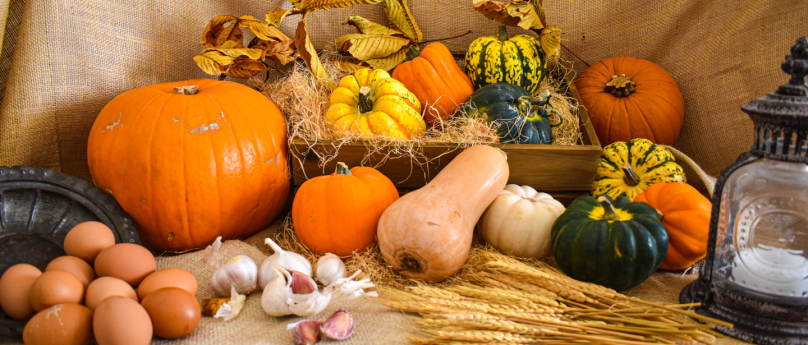 Sagra della Zucca