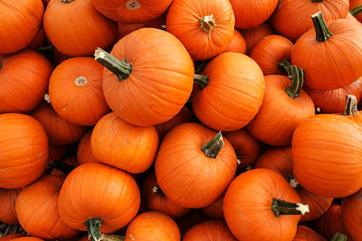 Halloween Halloween