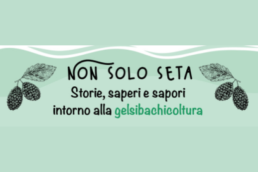 Non solo seta