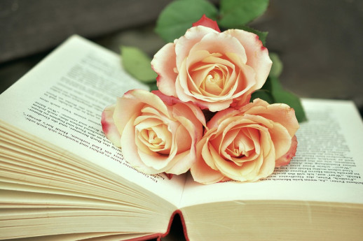 Gruppo di Lettura "LibrInsieme"