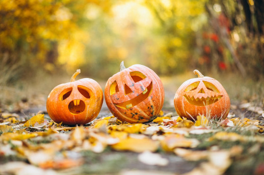 Fuori di Zucca!