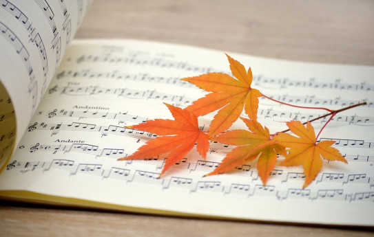 Concerto "Quattro Stagioni in Lirica... Autunno"