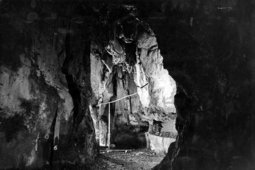 Visite guidate al Parco Gola del Tinazzo in lingua inglese Licenza: CC0 | Crediti: CC0