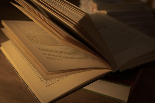 Un libro, per piacere! – “Newton spiegato alle dame Licenza: CC0 | Crediti: CC0