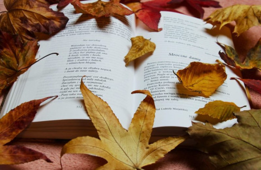 Licenza: CC0 | Crediti: CC0