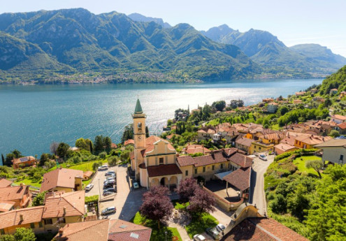 50 Sfumature di verde. Piante aliene, piante in pericolo.