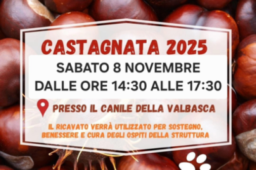 Castagna 2025 & vin brule'