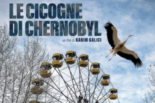 Le Cicogne di Chernobyl
