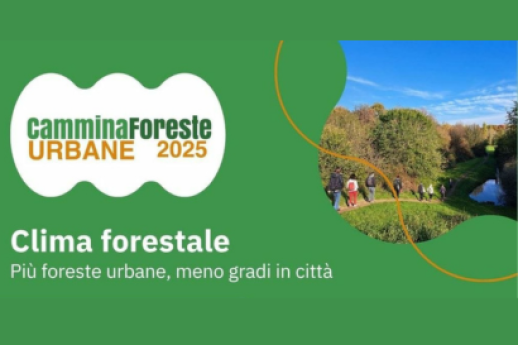 Sentiero degli otto ponti lungo il Seveso