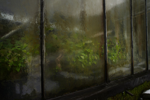 Serre e giardini d'inverno