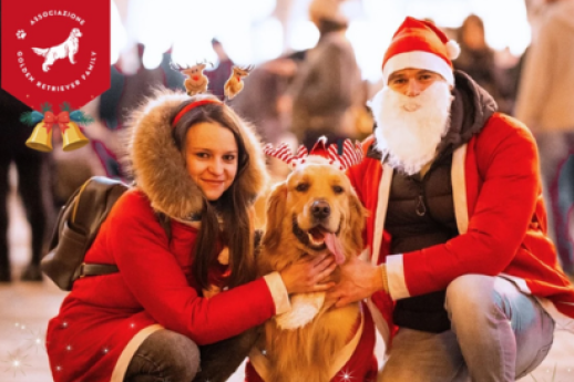 Passeggiata natalizia della Golden Retriever Family  