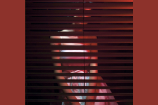 Un animale innocente