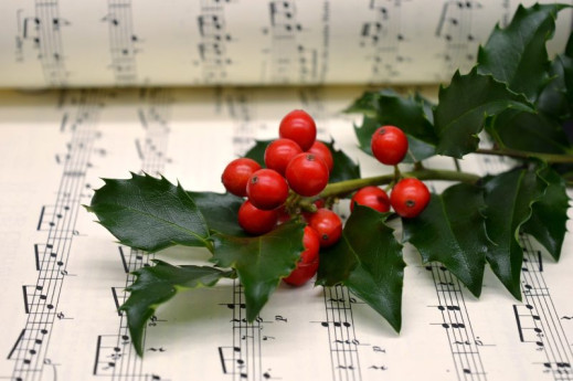 Licenza: CC0 | Crediti: CC0