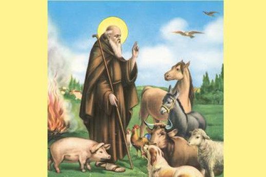 Benedizione veicoli e animali